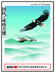 团队