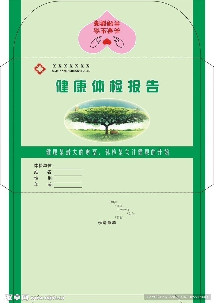 档案袋