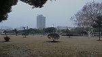 地大 沙地