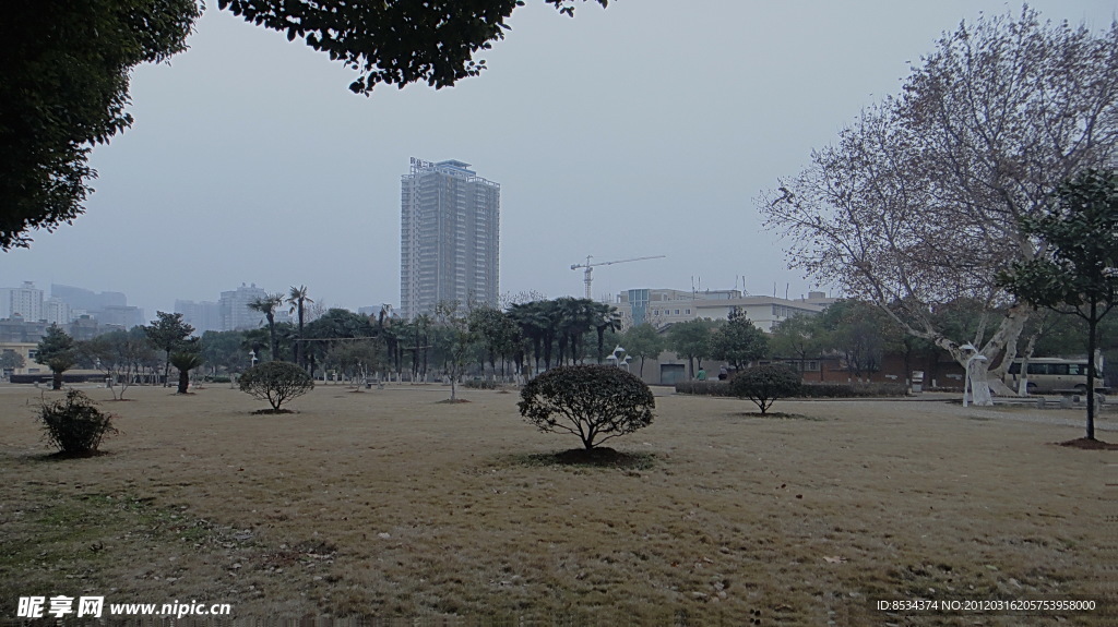 地大 沙地