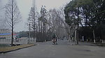 留学生