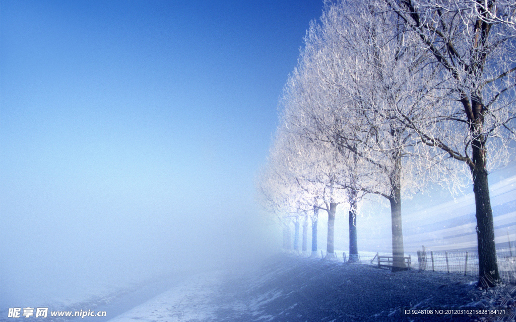 雪景