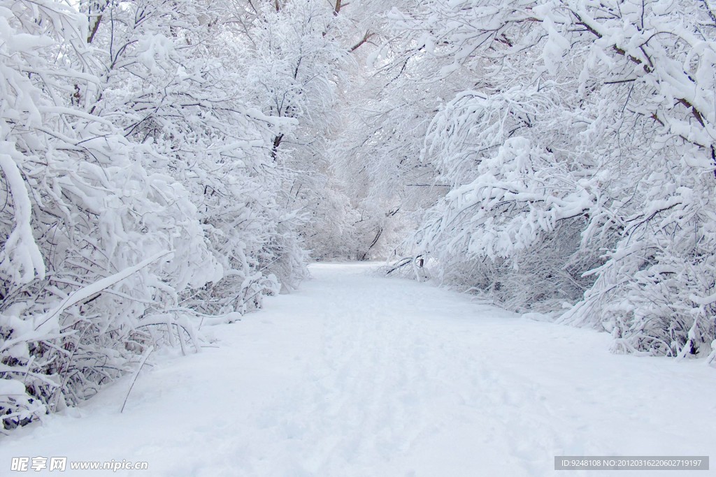 雪景