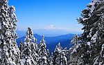 雪景