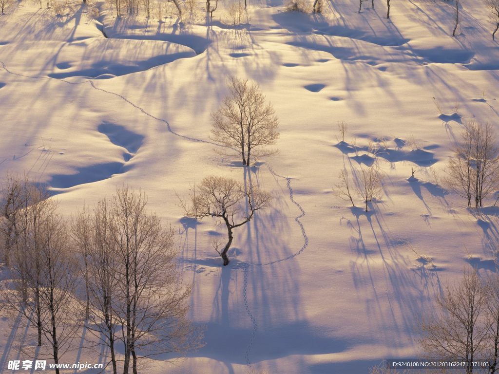 阳光雪景