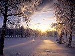 阳光雪景