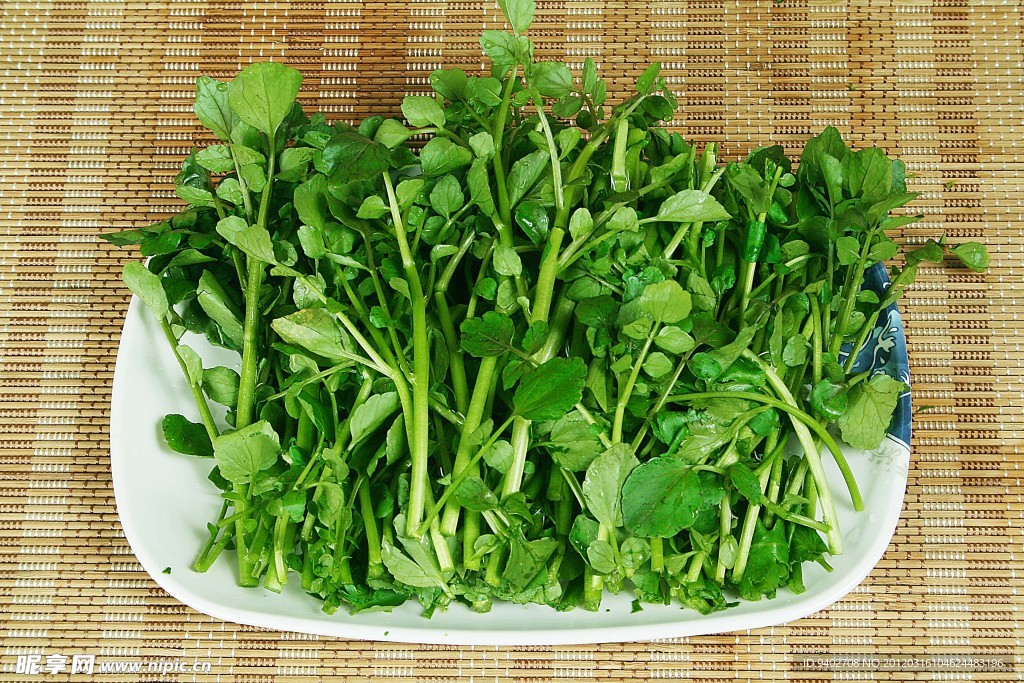 西洋菜