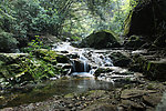 肇庆鼎湖山