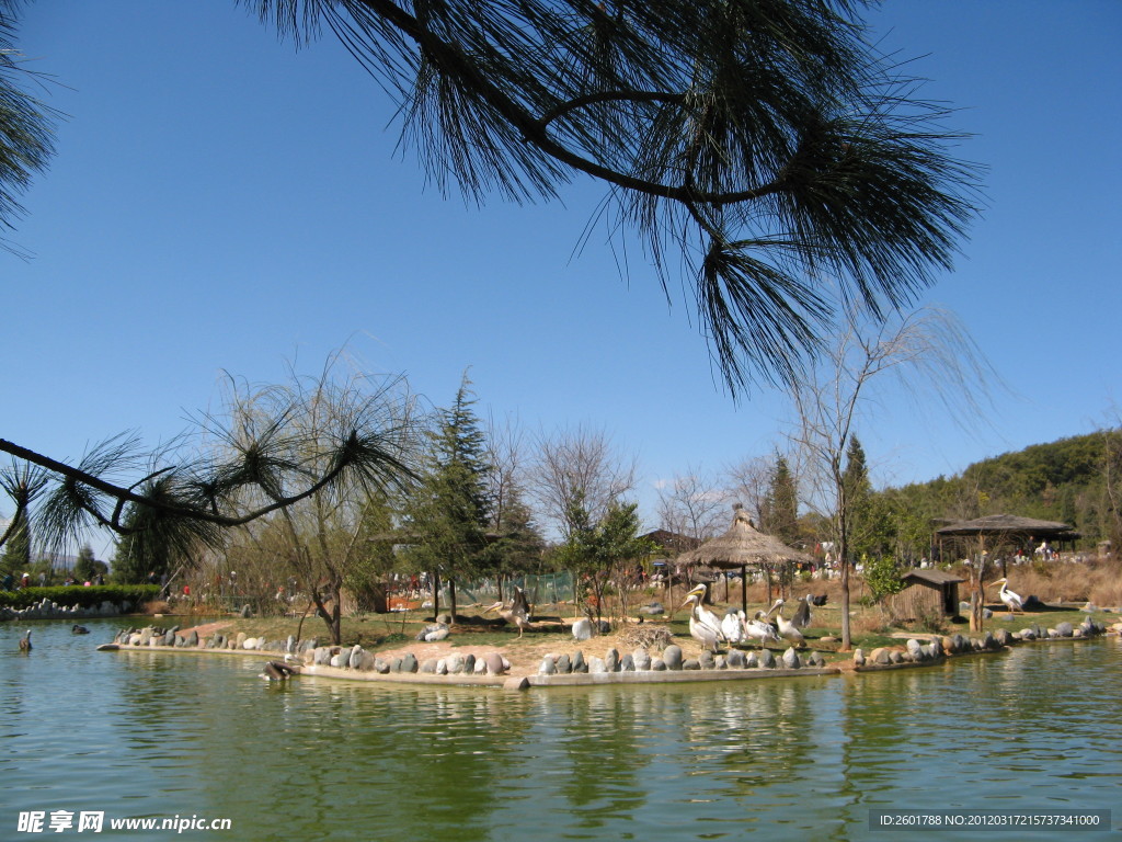 鹈鹕景区