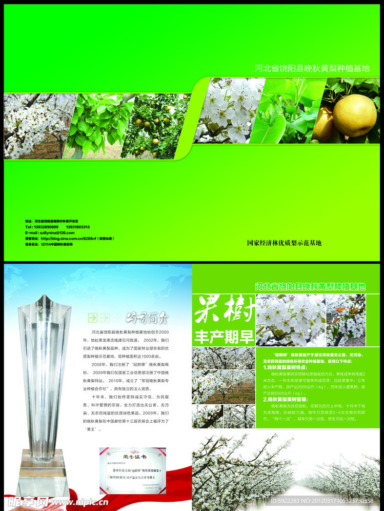 黄梨画册封面