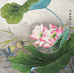 荷塘雨前