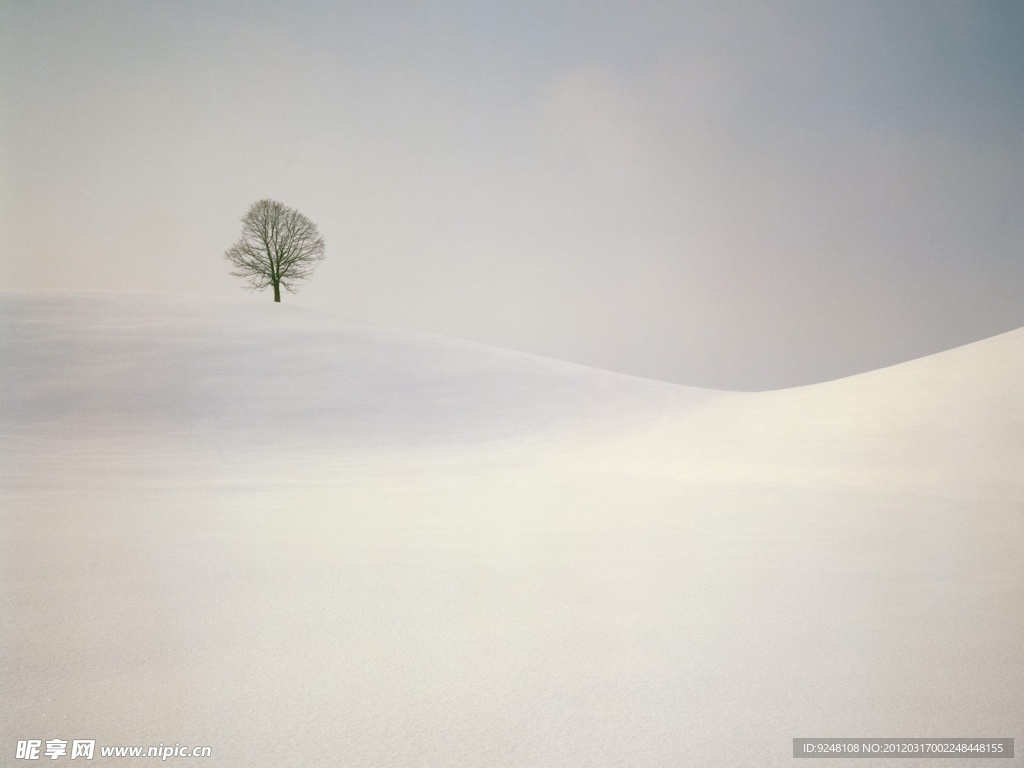 雪景