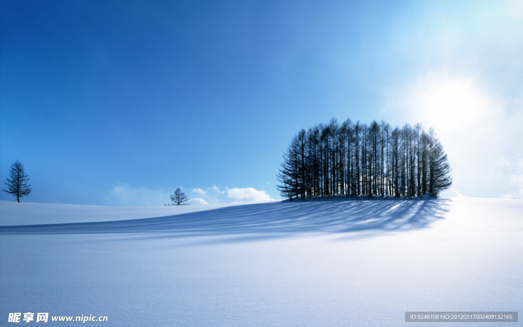 阳光雪景