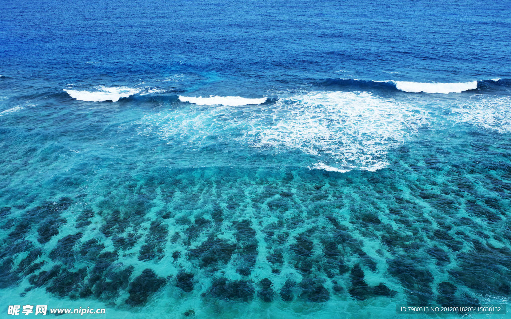 大海 蓝色
