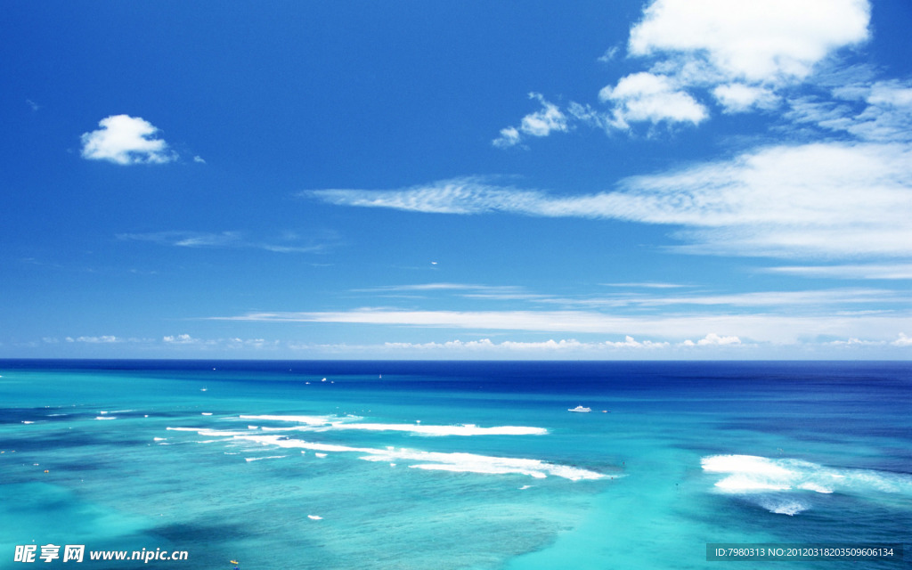 大海 蓝色