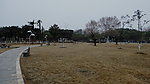 草坪旱季