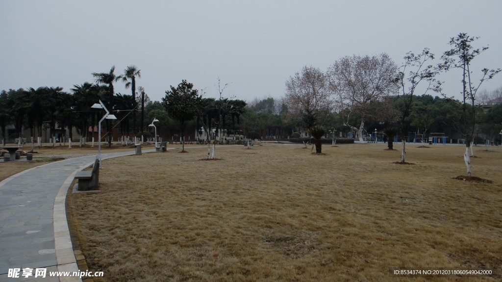 草坪旱季