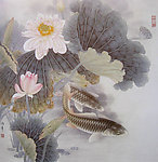 工笔荷花