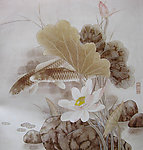工笔荷花