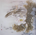 工笔荷花