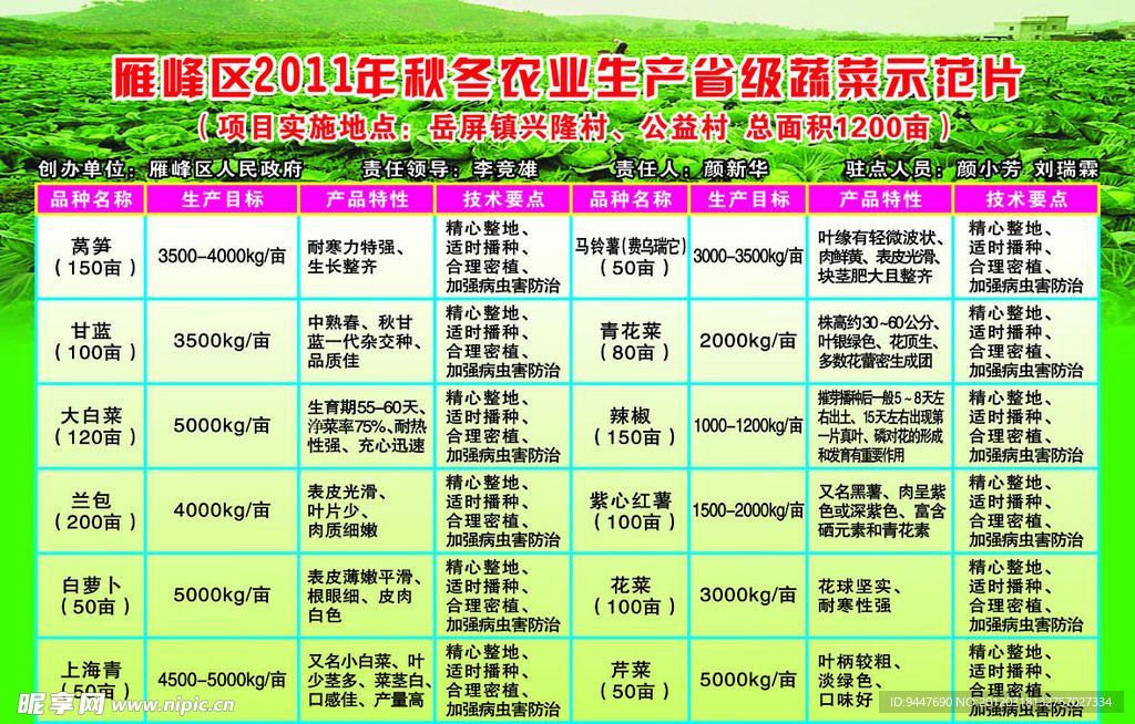 蔬菜示范片