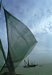 海航(非高清)