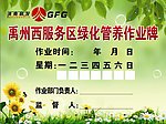 绿色背景