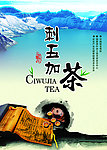 茶叶 宣传单