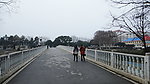 校园的湖桥