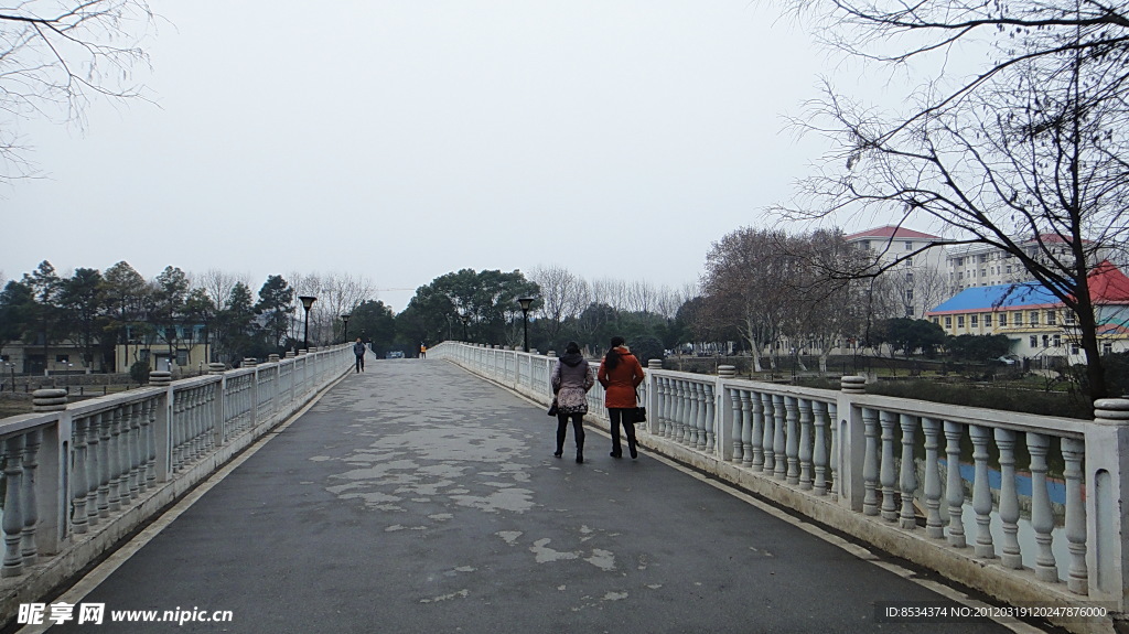 校园的湖桥