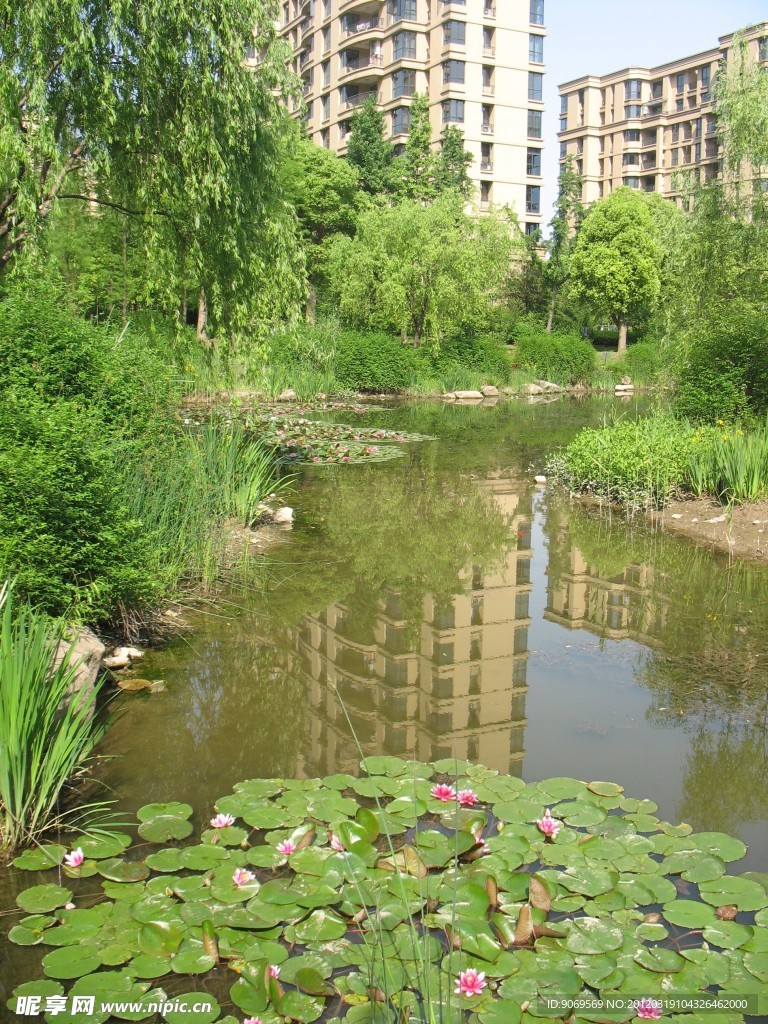 小区实景