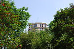 小区实景