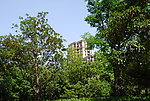 小区实景