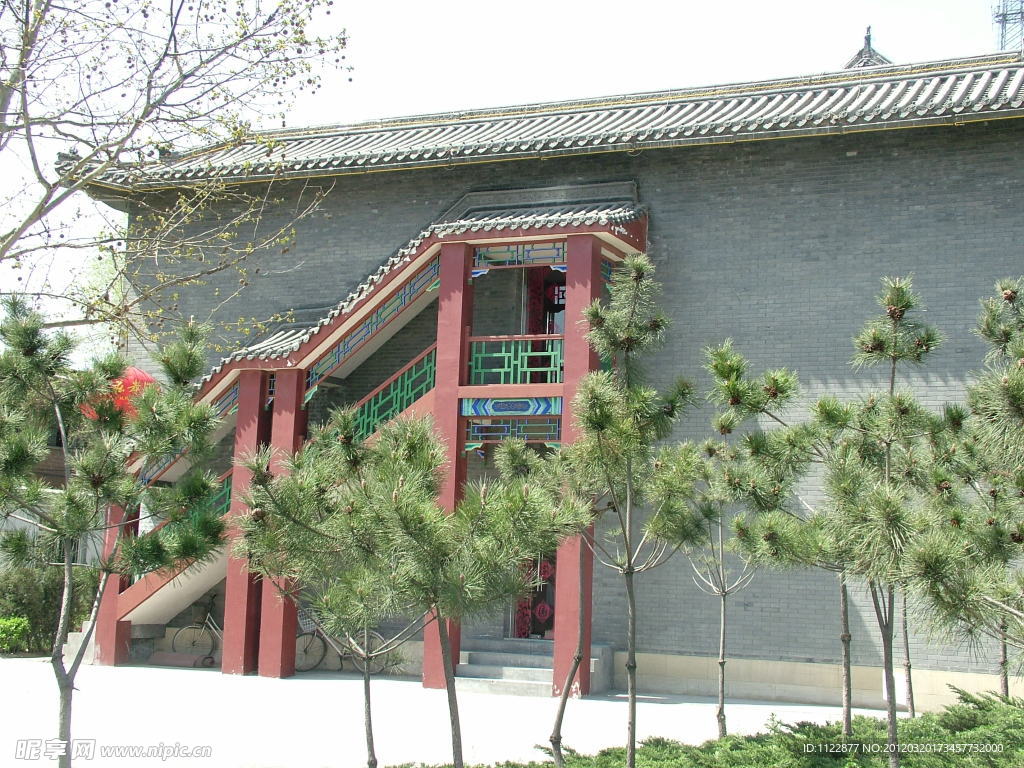 树木 古建筑