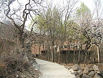 山庄 树丛