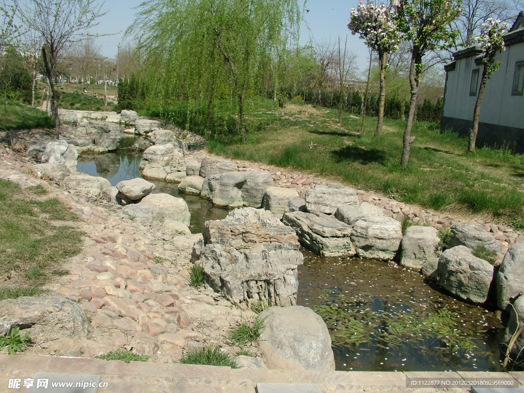 小溪 河流 公园