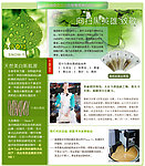 九倍桑枝分层