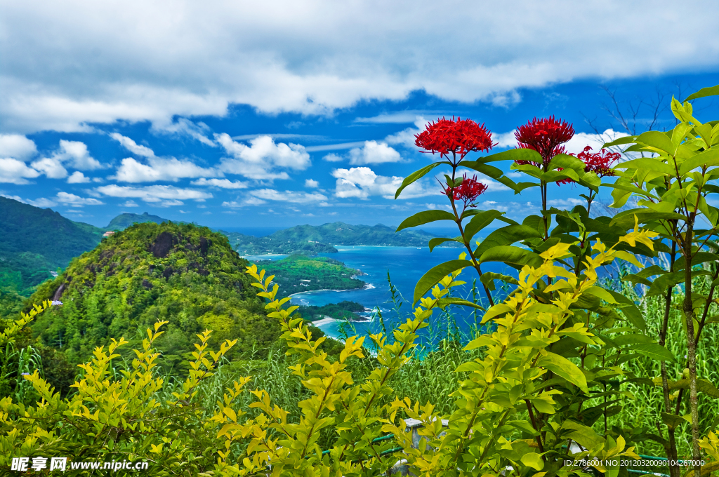 高山海边美景