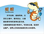 蚯蚓
