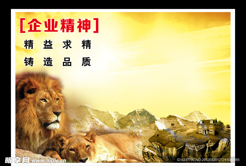 企业文化