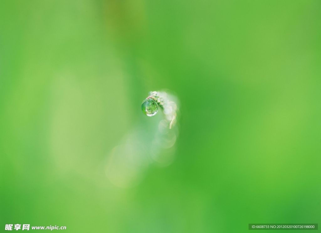 水珠露水