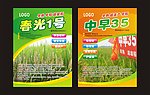 水稻宣传单