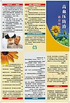 高血压防治三折页