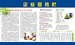 企业宣传栏海报