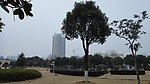 校园的绿化