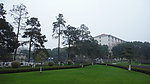 三角绿洲