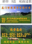 智农商贸名片