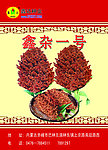 高粱