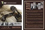顶固建材活动单页