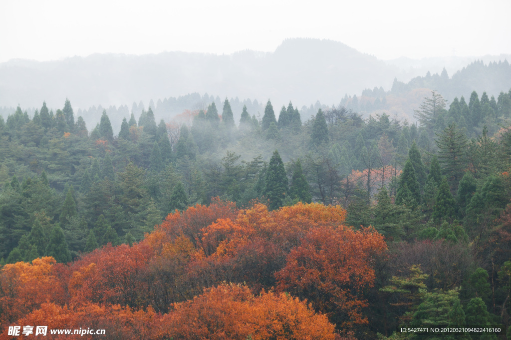 山林